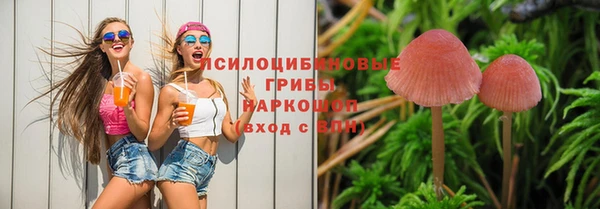 стафф Абинск