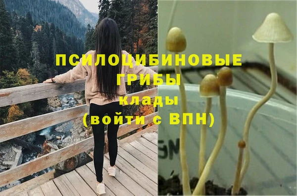 круглые Абаза