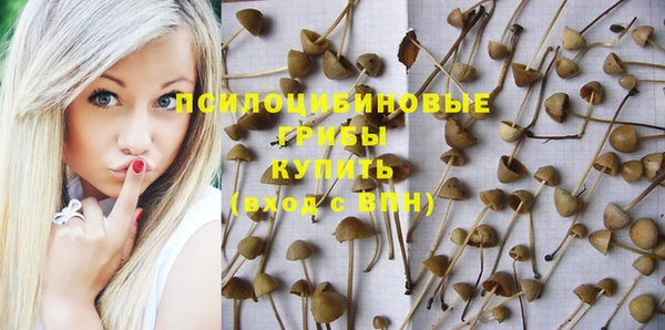 прущая мука Алзамай