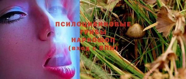 стафф Абинск
