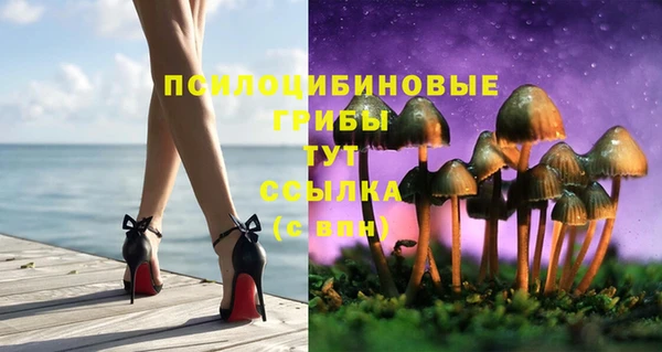 стафф Абинск