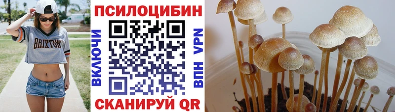 MEGA сайт  Карачев  Псилоцибиновые грибы MAGIC MUSHROOMS  где купить наркоту 