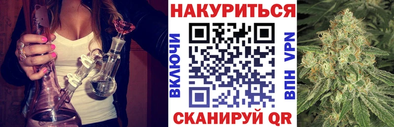 цены наркотик  Карачев  ОМГ ОМГ ССЫЛКА  Марихуана сатива 